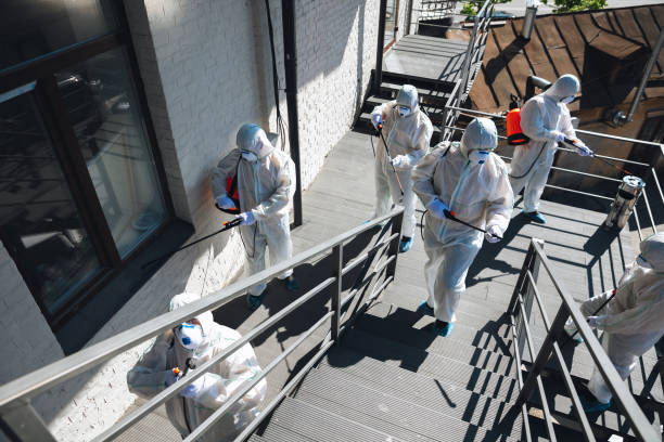 Reliable Mcsherrystown, PA Mold Removal Solutions