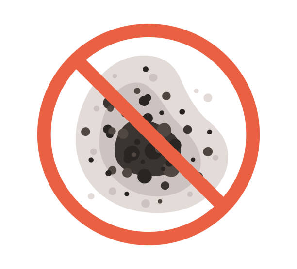 Best Comprehensive Air Testing for Mold Contaminants  in Mcsherrystown, PA