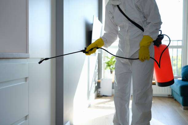 Best Industrial Mold Remediation  in Mcsherrystown, PA