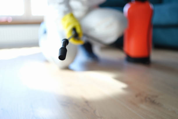 Best Asbestos and Lead Testing During Mold Inspection  in Mcsherrystown, PA