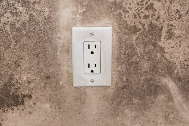 Best Mold Prevention Services  in Mcsherrystown, PA