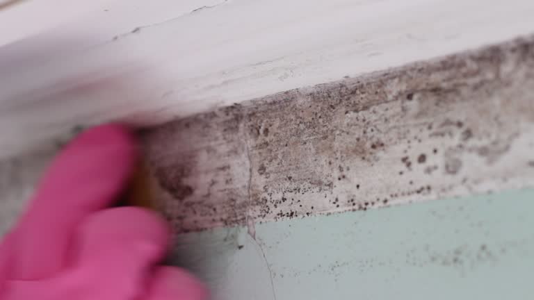 Best Indoor Air Quality Assessment  in Mcsherrystown, PA